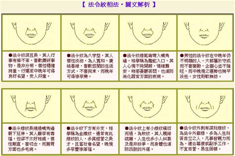 法令紋面相女|法令纹面相图解